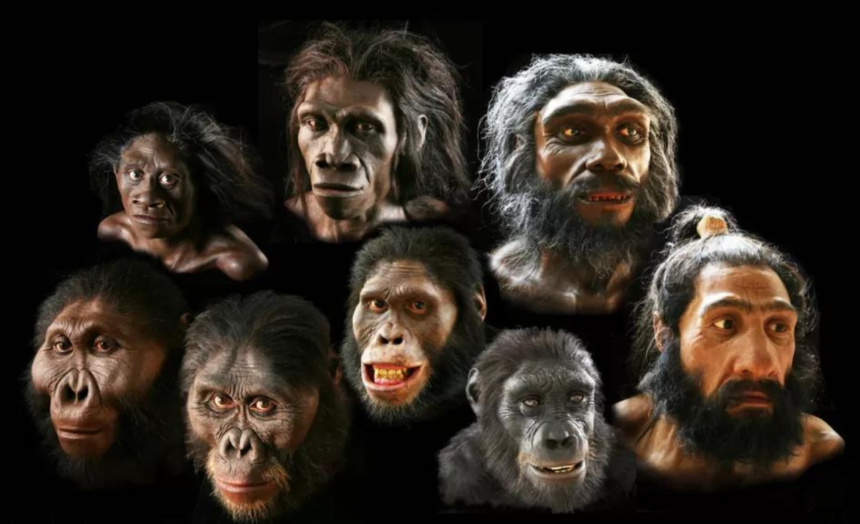 The First Humans: Origins and Evolution