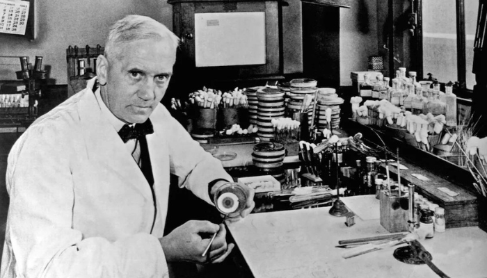 The Revolutionary Discovery of Penicillin: How Antibiotics Changed Medical History Forever